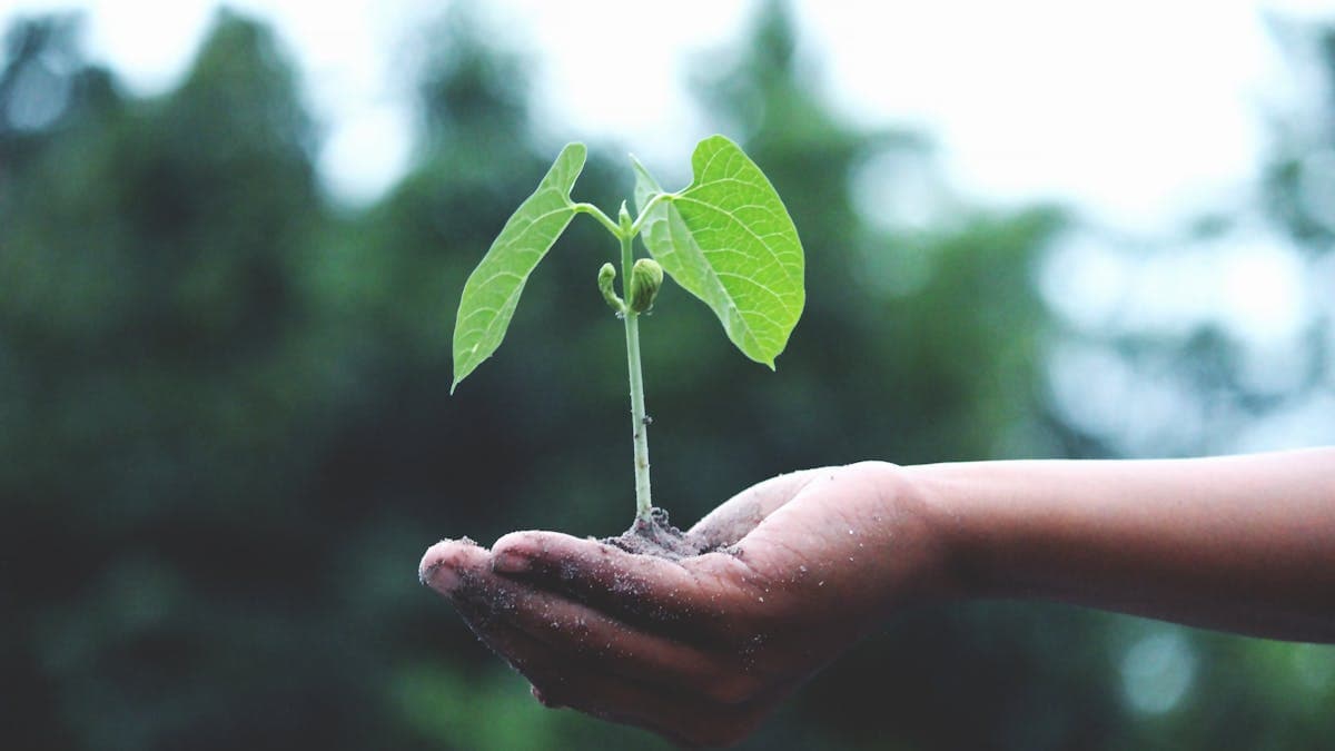Sustentabilidade e responsabilidade corporativa